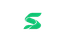 Sainin Systems Logo